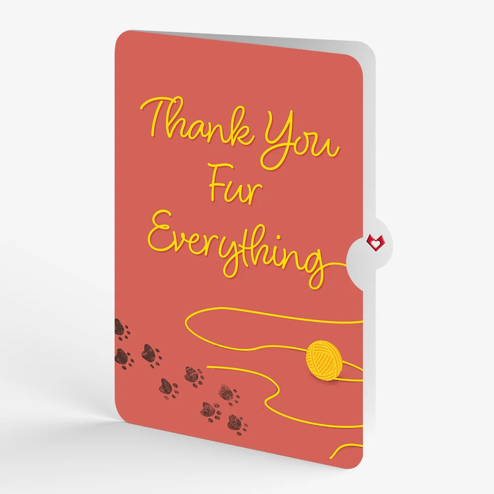 Lovepop Mischievous Cat Thank You Pop-Up Card and Sentiment Set - Image 4