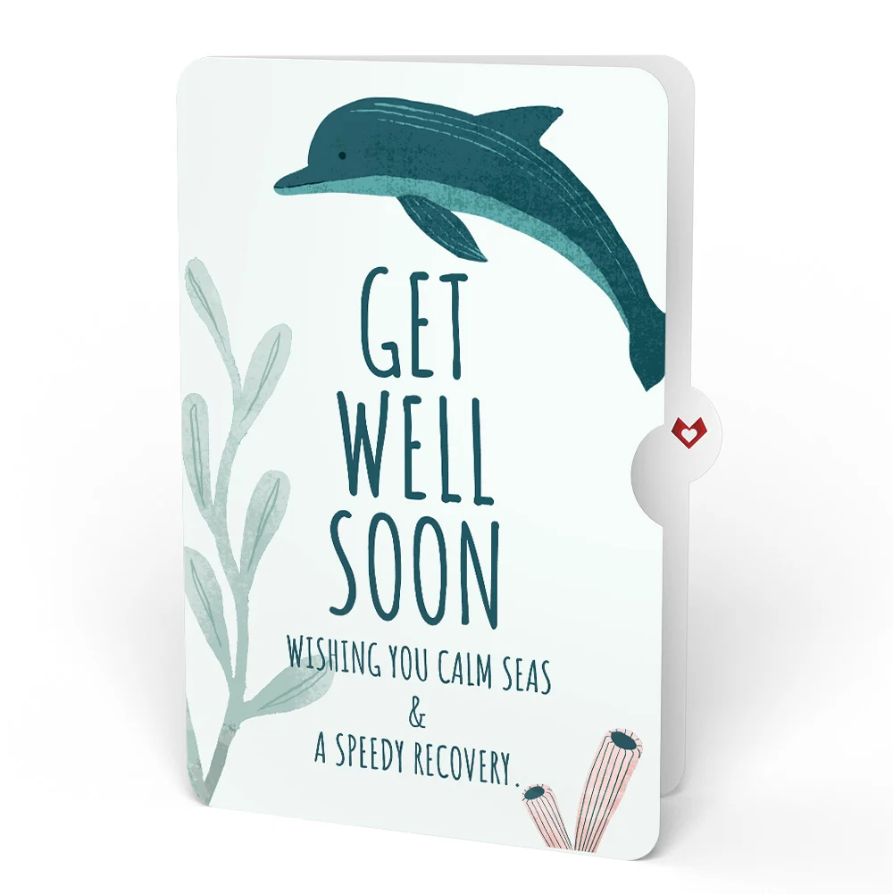 Lovepop Coral Reef Wonders Get Well Soon Pop-Up Card and Sentiment Set - Image 4
