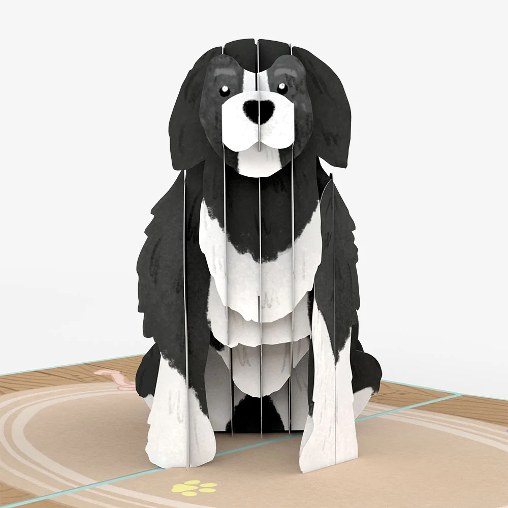 Lovepop Playful Dog Sympathy Pop-Up Card and Sentiment Set Toy - Image 3