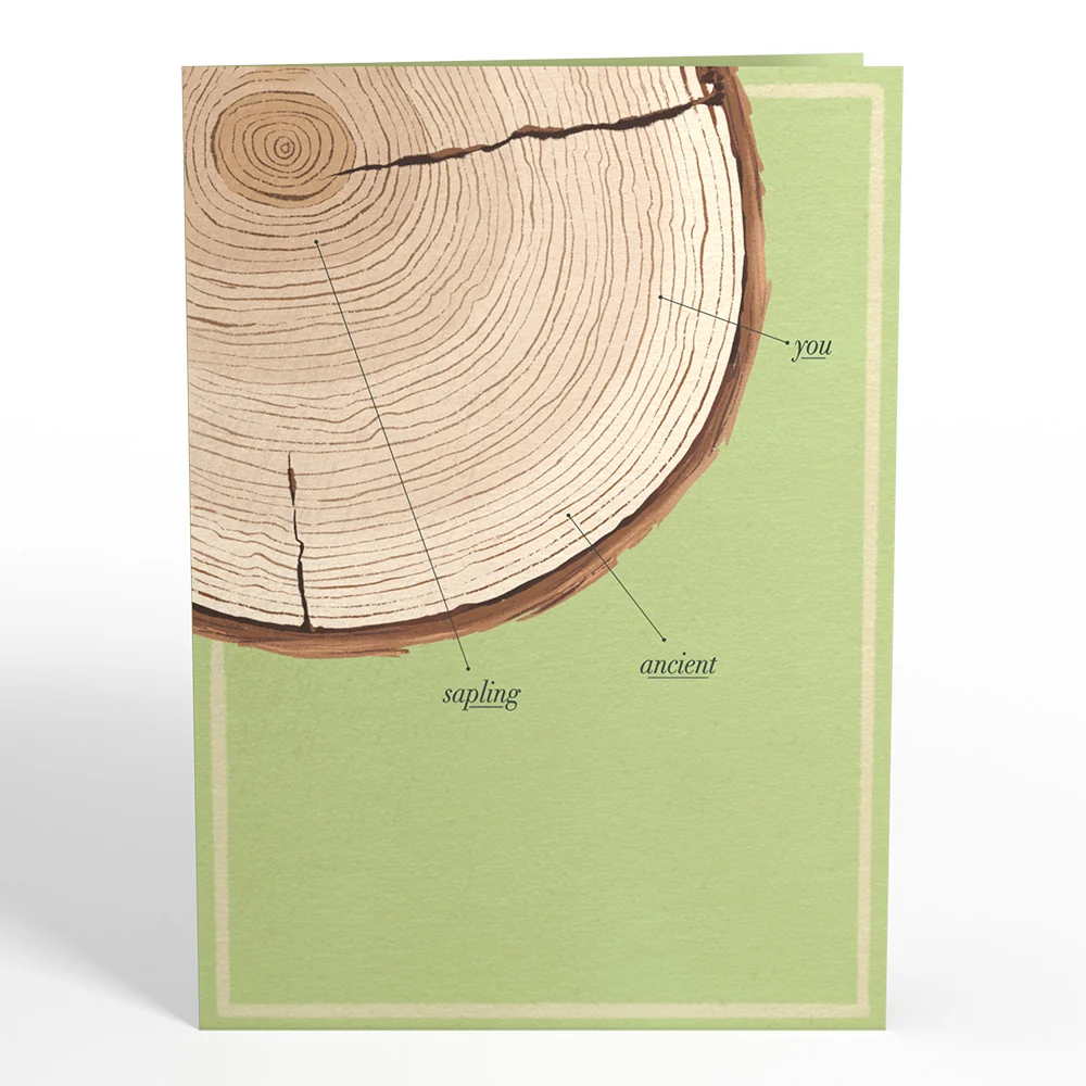 Lovepop Ringing In Another Year Birthday Pop-Up Card - Image 5