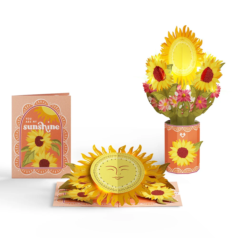 Lovepop You Are My Sunshine Music and Lights Pop-Up Card & Bouquet Bundle