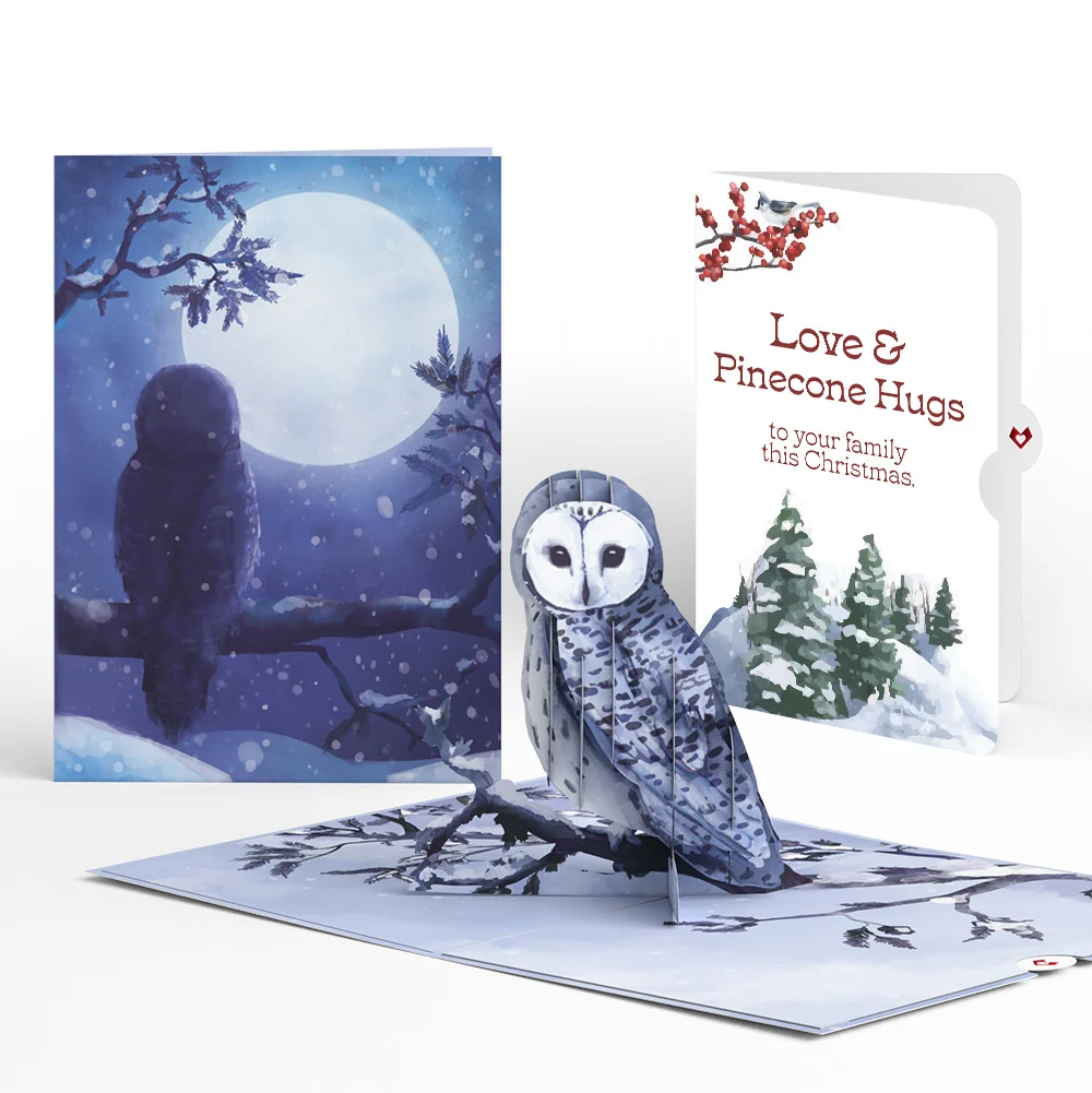 Lovepop Snowy Owl Christmas Pop-Up Card and Sentiment Set for Family