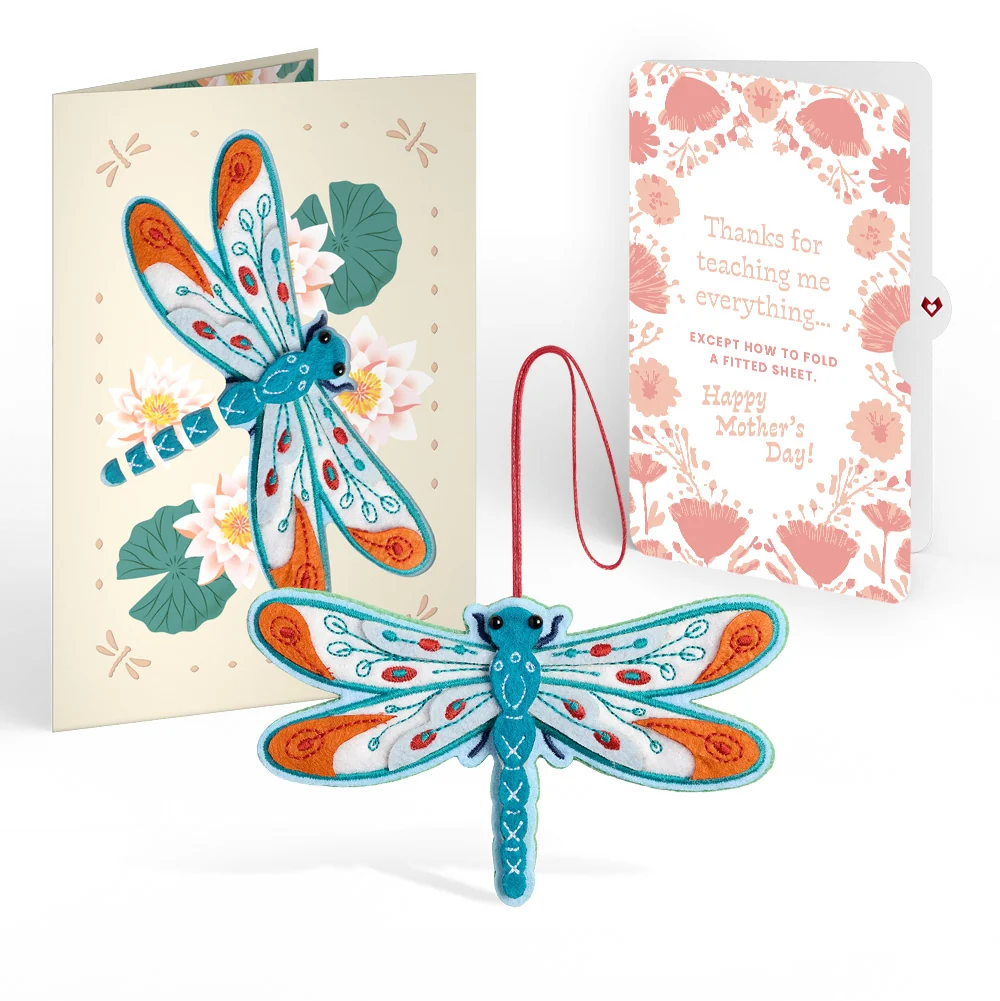 Lovepop Peaceful Dragonfly Mother’s Day HeartFelt Charm Card and Poppies Garden Frame Sentiment Set for Mom Cream
