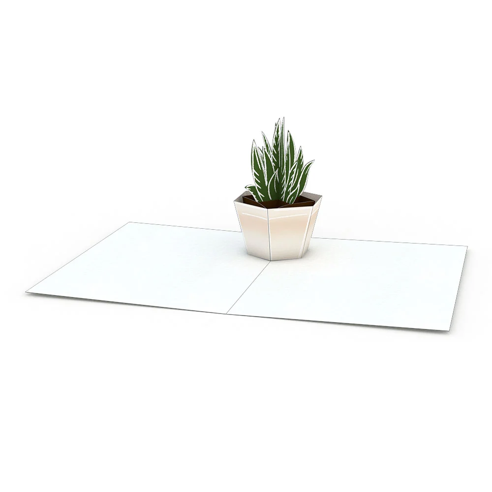Lovepop Succulent Notecards (Assorted 4-Pack) - Image 4