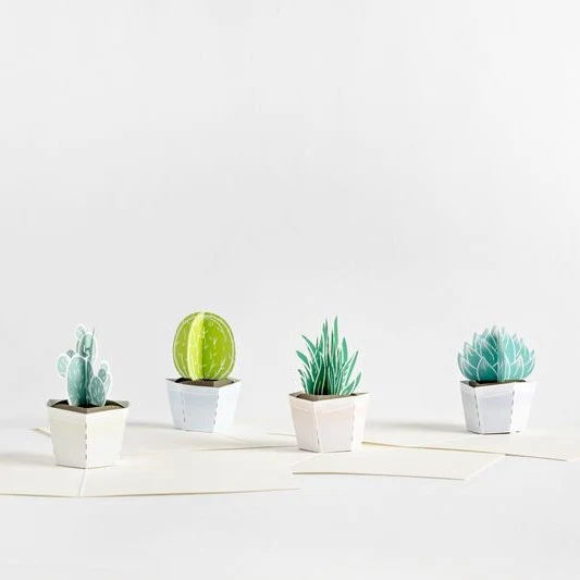 Lovepop Succulent Notecards (Assorted 4-Pack) - Image 7