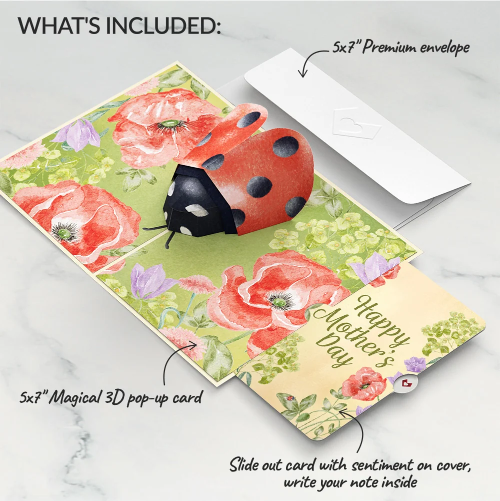 Lovepop Lovely Ladybug Mother’s Day Pop-Up Card and Sentiment Set Cream - Image 2