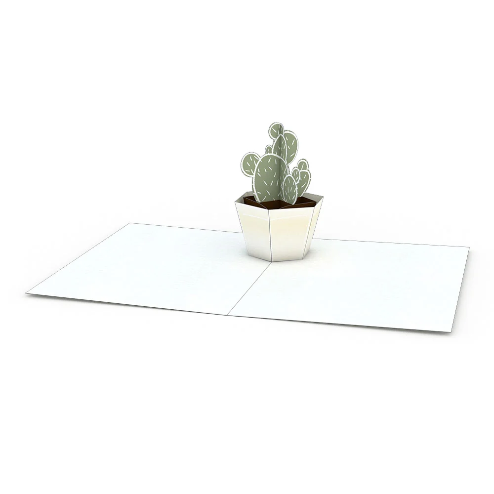 Lovepop Succulent Notecards (Assorted 4-Pack) - Image 6