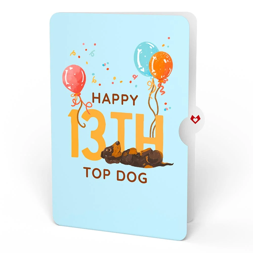 Lovepop Happy 13th Birthday Dogs Pop-Up Card and Sentiment Set - Image 4