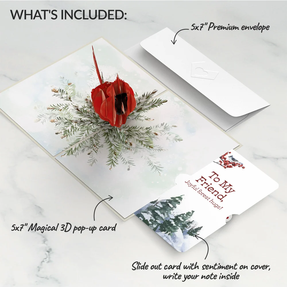 Lovepop Winter Cardinal Pop-Up Card and Sentiment Set for Friend - Image 2