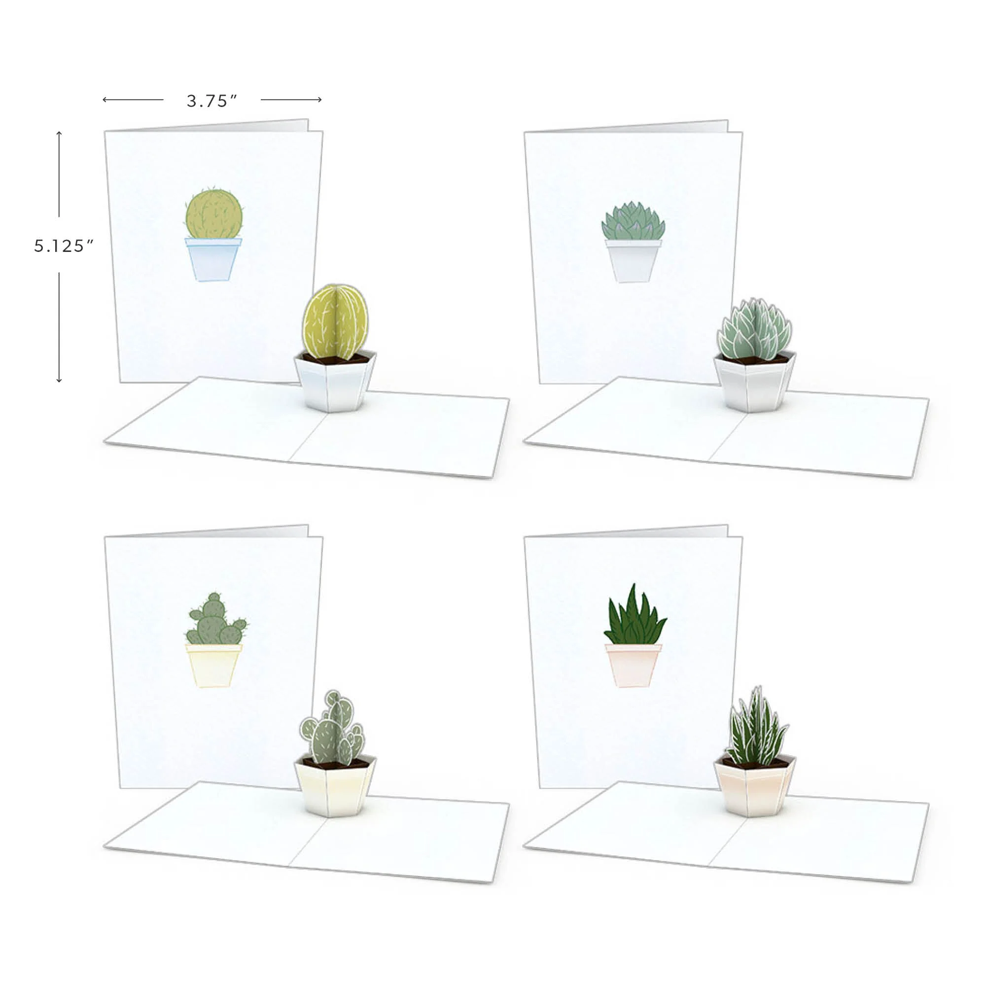 Lovepop Succulent Notecards (Assorted 4-Pack)