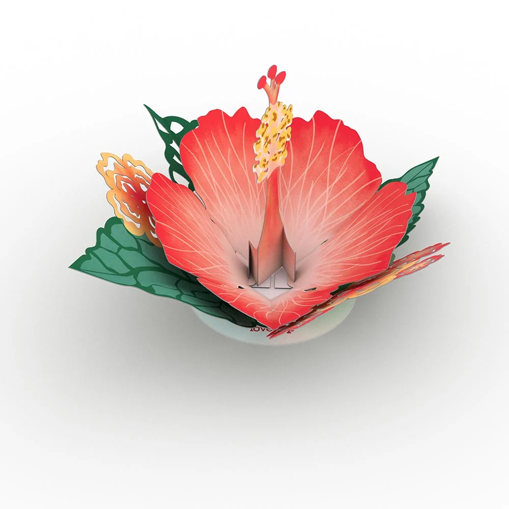 Lovepop Stickerpop: Hibiscus Bloom (5-Pack) - Image 2