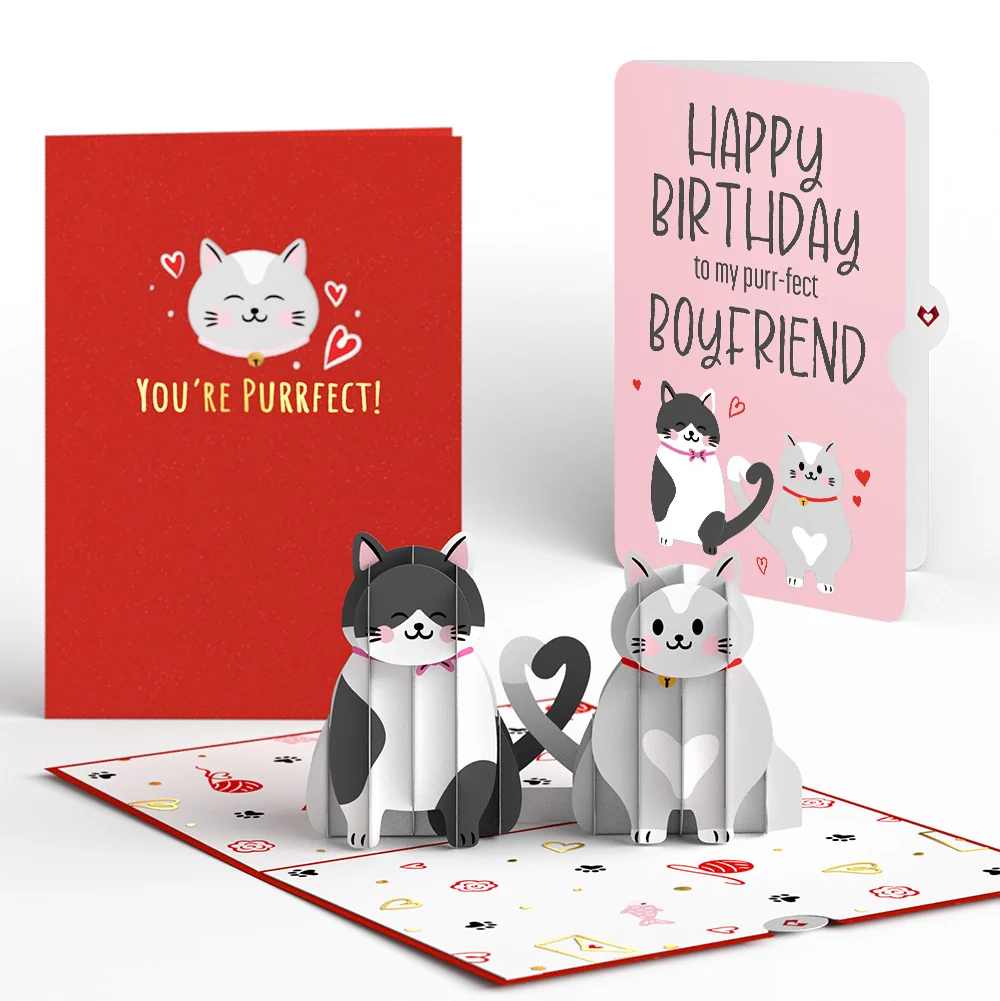 Lovepop Love Cats Birthday Pop-Up Card and Sentiment Set for Boyfriend
