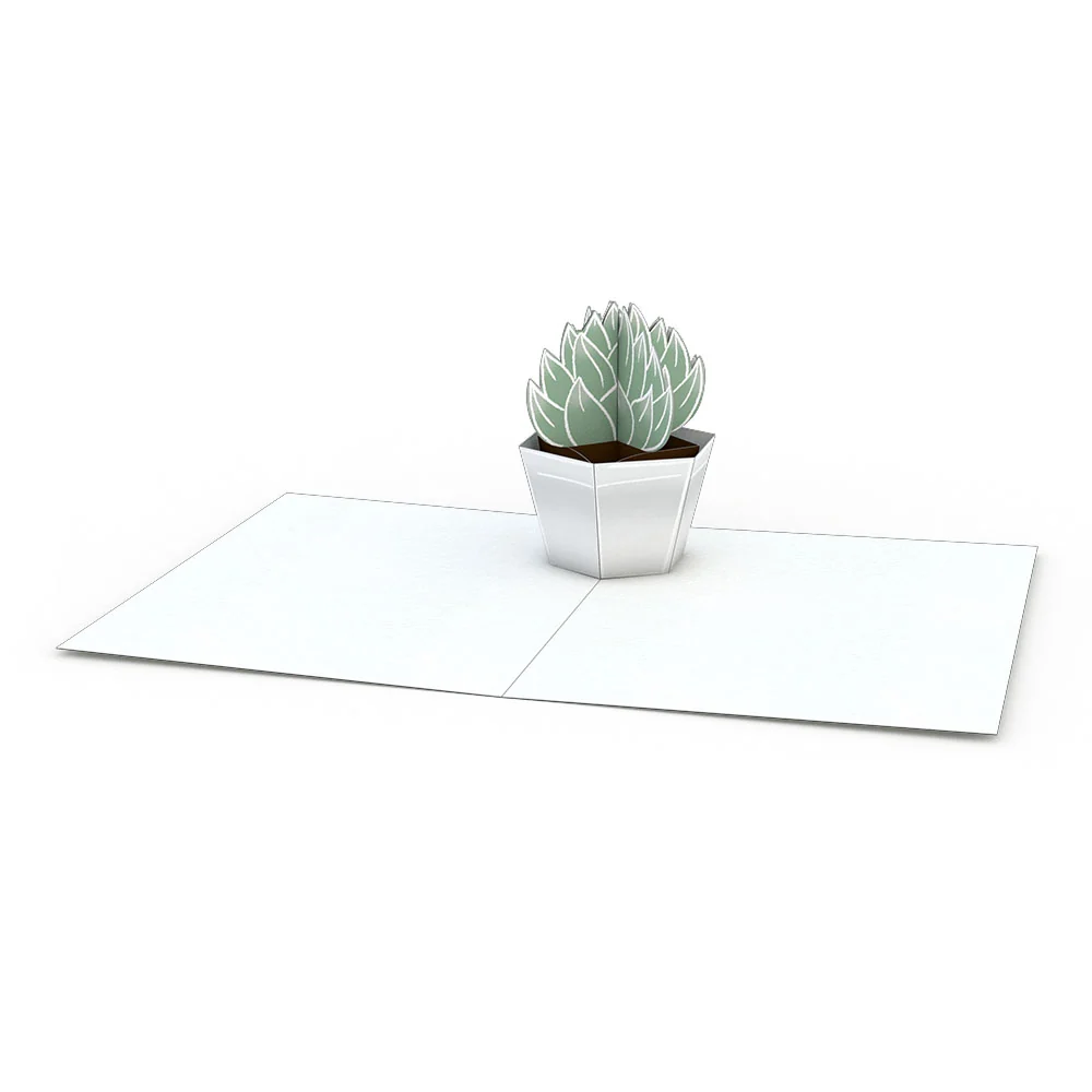 Lovepop Succulent Notecards (Assorted 4-Pack) - Image 3