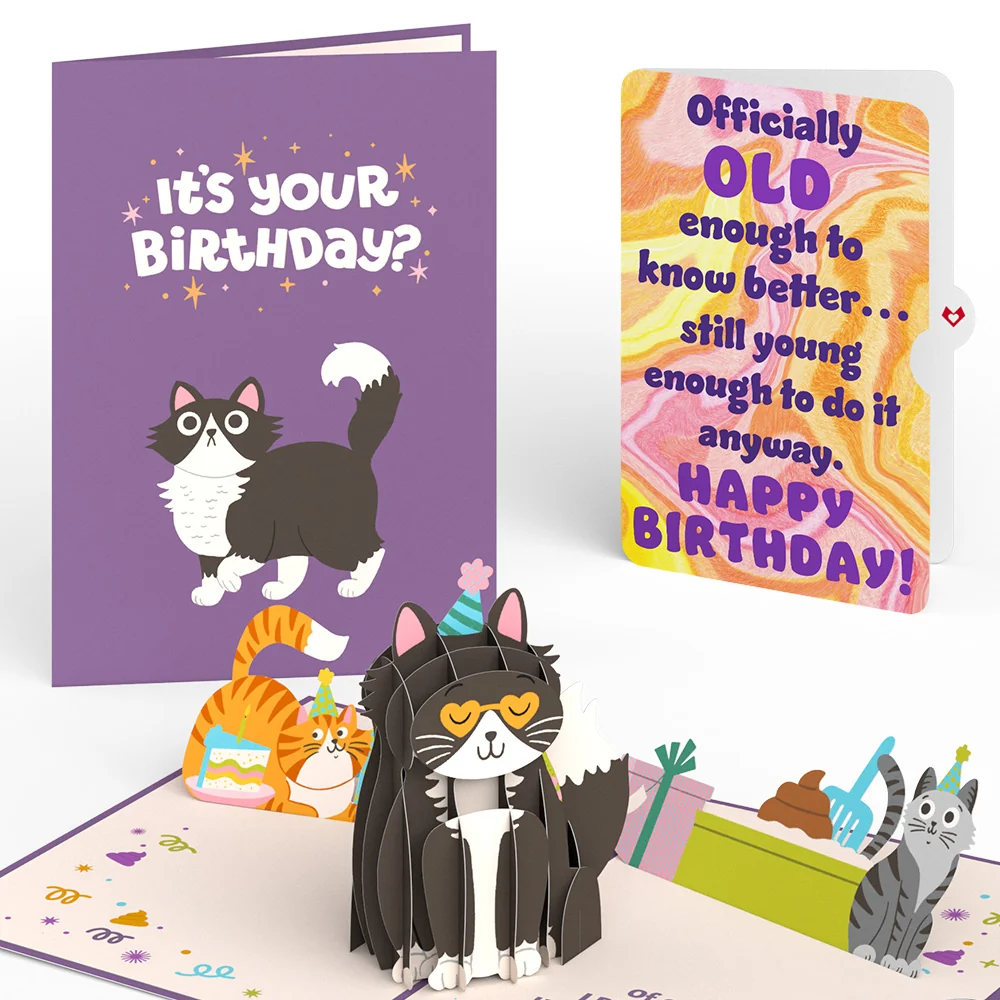 Lovepop Your Gift Is in the Litterbox Birthday Cat Pop-Up Card and Sentiment Set