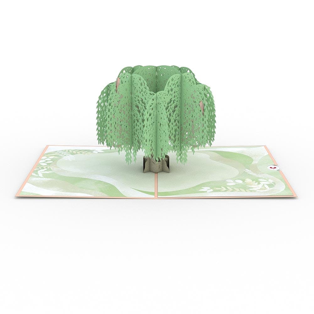 Lovepop Sympathy Tree and Tulips Bundle - Image 5