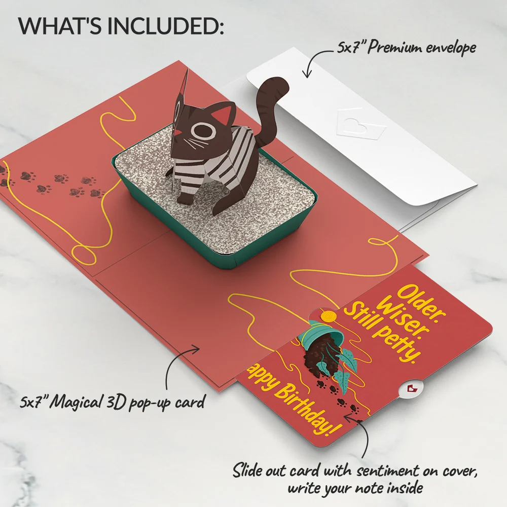 Lovepop Mischievous Cat Birthday Pop-Up Card and Still Petty Sentiment Set - Image 2
