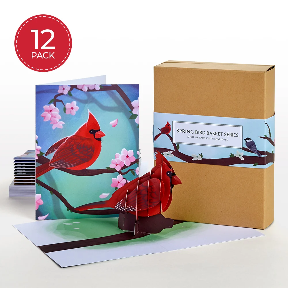 Lovepop Spring Birds Box Set (Assorted 12-Pack): Paperpop Card