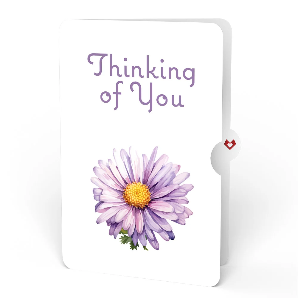 Lovepop Born to Bloom: September Birth Month Flowers Thinking of You Pop-Up Card and Sentiment Set Cream - Image 4