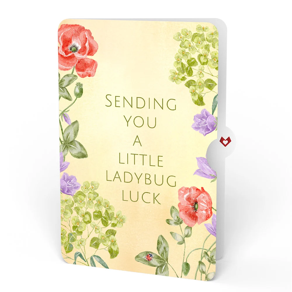 Lovepop Lovely Ladybug Love Pop-Up Card and Sentiment Set Cream - Image 4