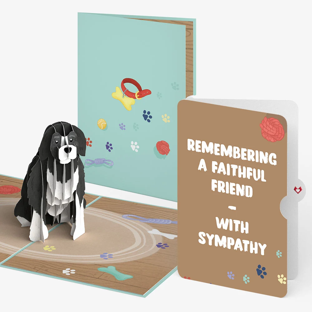 Lovepop Playful Dog Sympathy Pop-Up Card and Sentiment Set Toy
