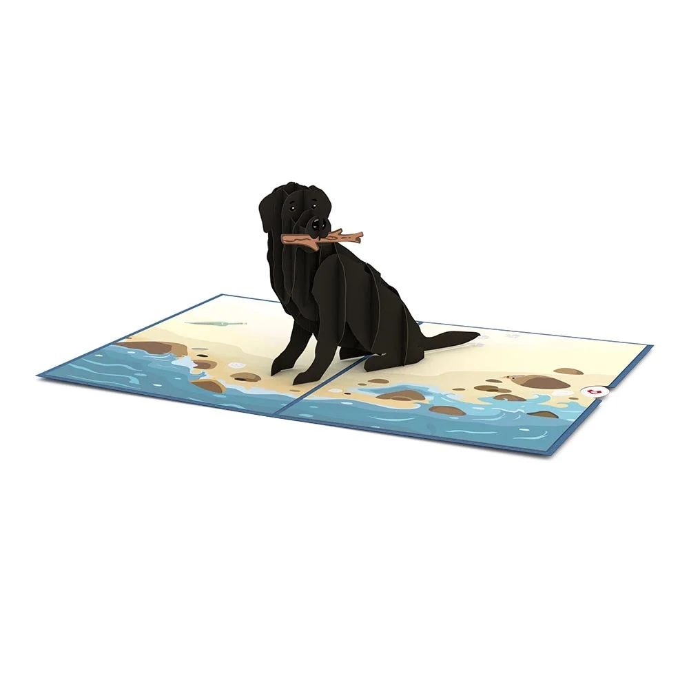 Lovepop Black Lab Birthday Pop-Up Card and Food Motivated Sentiment Set - Image 3