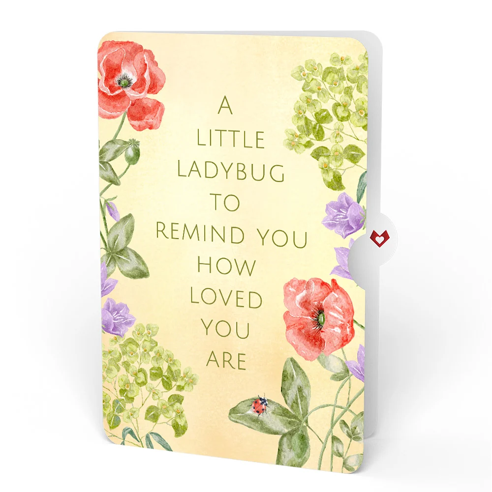 Lovepop Lovely Ladybug Thinking of You Pop-Up Card and Sentiment Set Cream - Image 4
