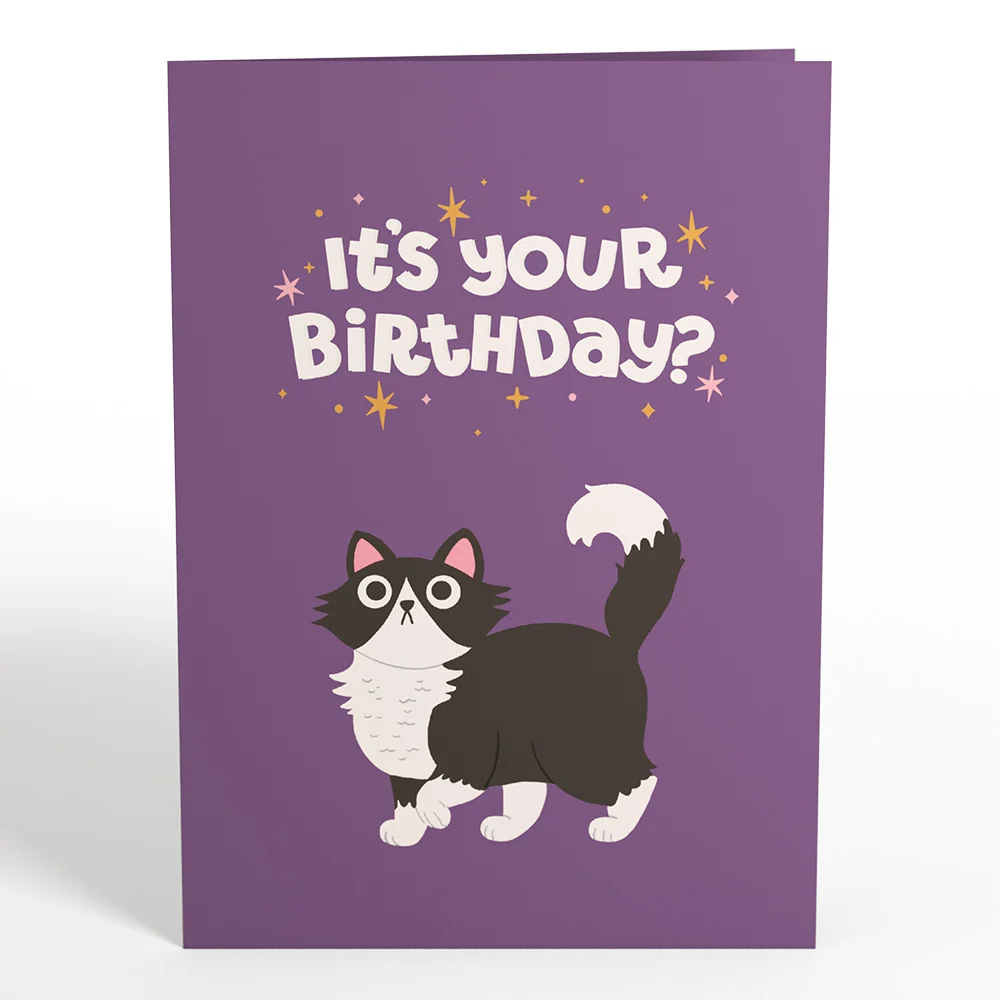 Lovepop Your Gift Is in the Litterbox Birthday Cat Pop-Up Card - Image 5