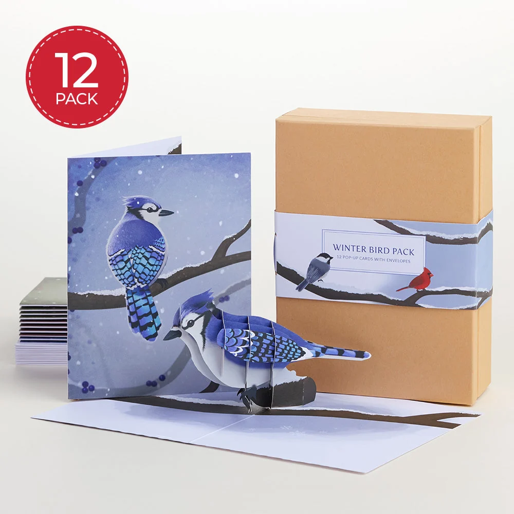 Lovepop Winter Bird Box Set (Assorted 12-Pack): Paperpop Card
