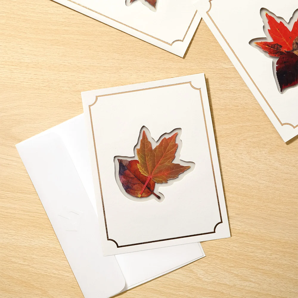 Lovepop Autumn Leaves (Assorted 12-Pack) – Petal Pressed Blank Notecards - Image 4