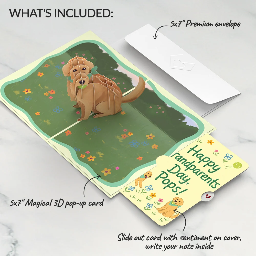 Lovepop Playful Golden Retriever Pop-Up Card and Grandparents Day Sentiment Set - Image 2