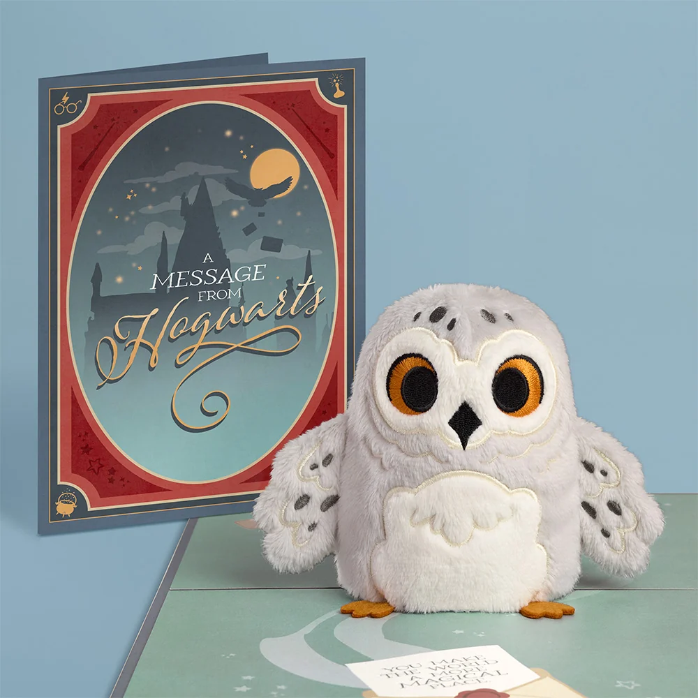 Lovepop Harry Potter Hedwig Plushpop Card & Flower Buds Bouquet Bundle - Image 2