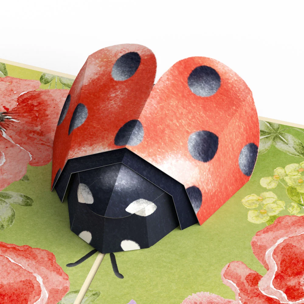 Lovepop Lovely Ladybug Pop-Up Card & Glitter Bouquet Bundle - Image 4