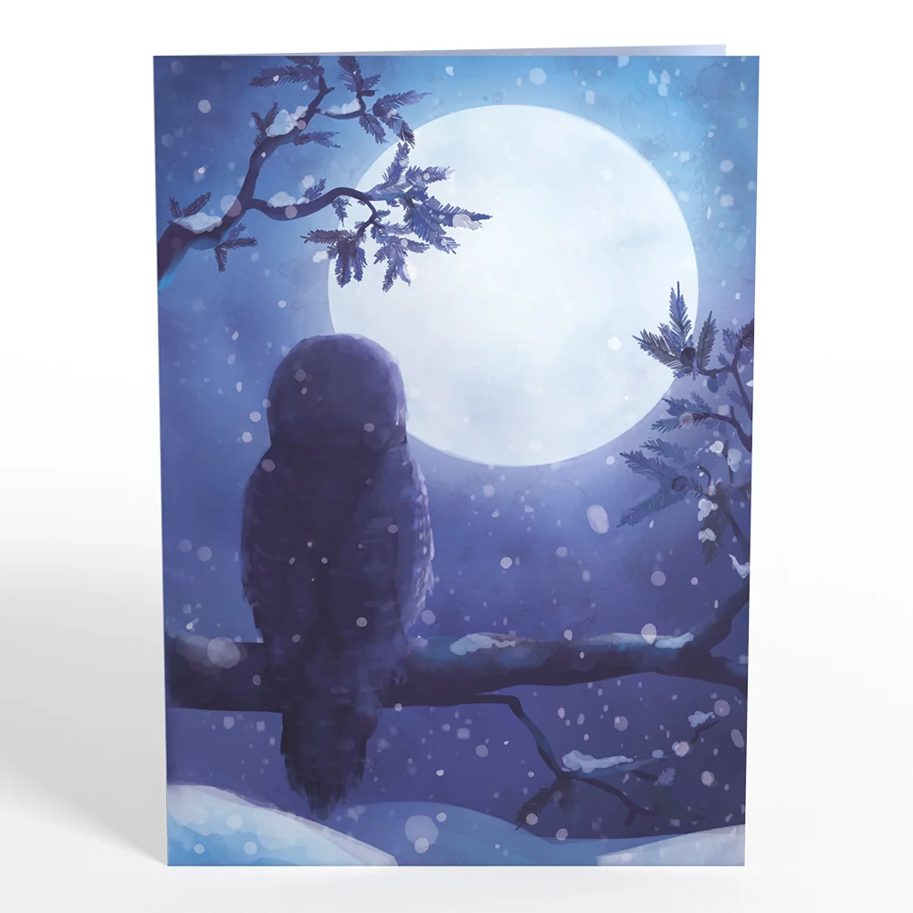 Lovepop Snowy Owl Pop-Up Card - Image 4