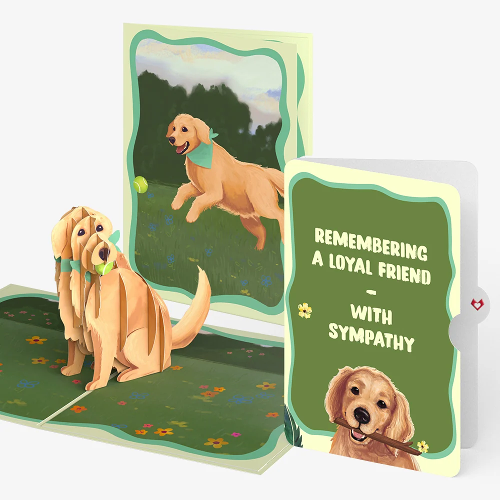 Lovepop Playful Golden Retriever Sympathy Pop-Up Card and Sentiment Set
