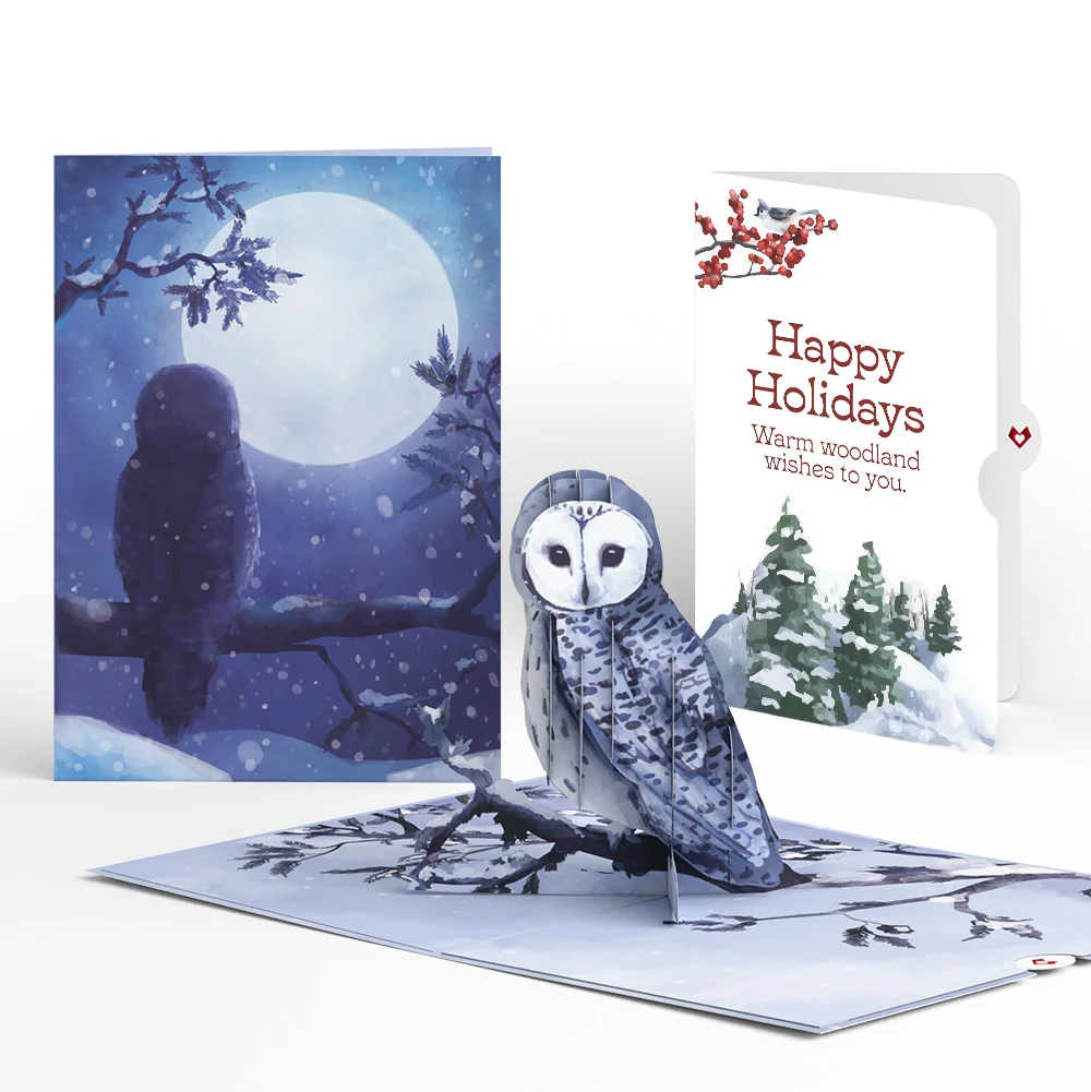 Lovepop Snowy Owl Christmas Pop-Up Card and Warm Woodland Sentiment Set