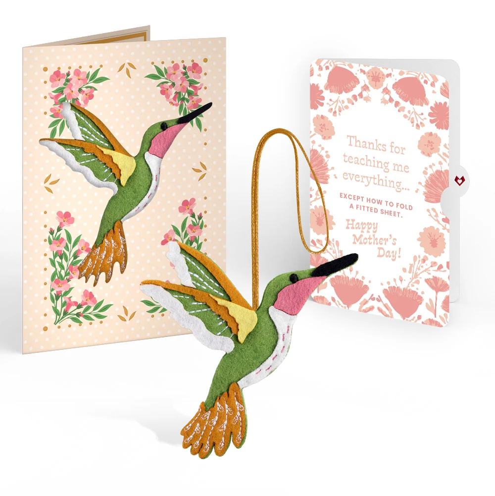 Lovepop Serene Hummingbird Mother’s Day HeartFelt Charm Card and Poppies Garden Frame Sentiment Set for Mom