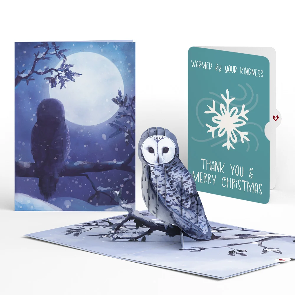 Lovepop Snowy Owl Christmas Pop-Up Card and Snowflake Kindness Sentiment Set