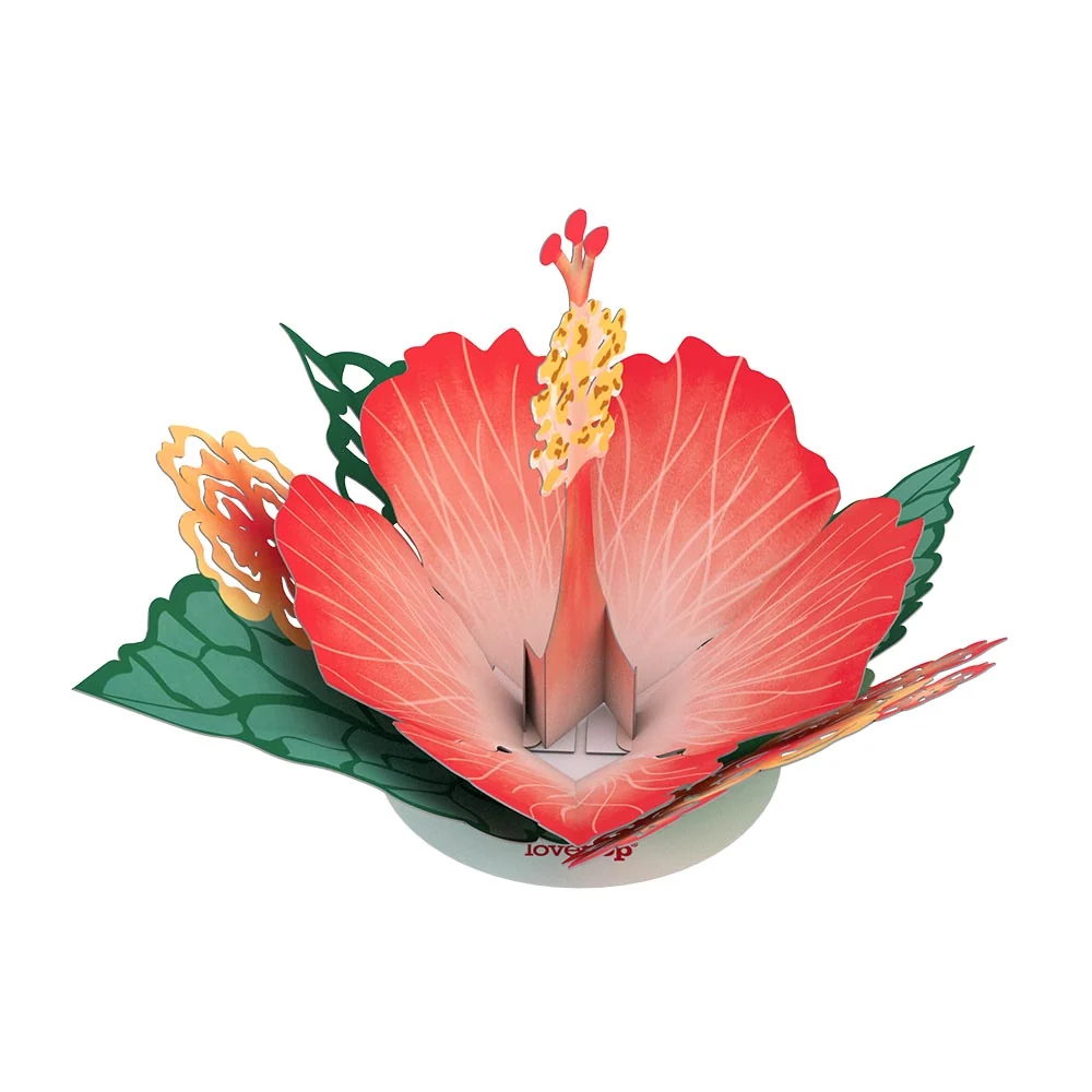 Lovepop Stickerpop: Hibiscus Bloom (5-Pack) - Image 3