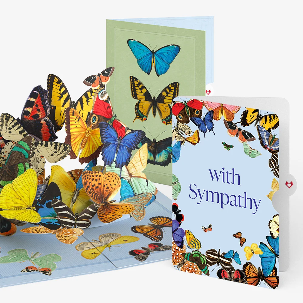Lovepop Butterflies in Flight Sympathy Pop-Up Card and Sentiment Set