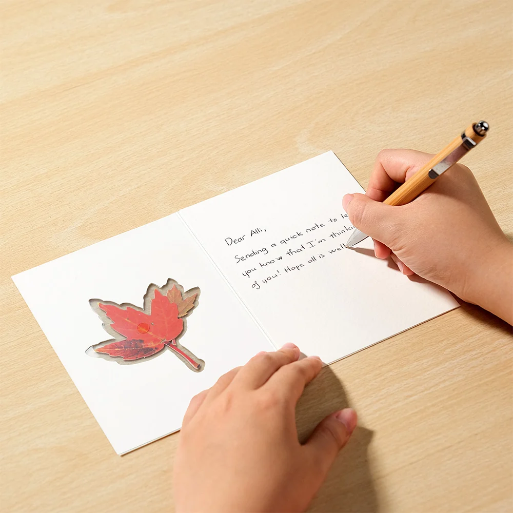 Lovepop Autumn Leaves (Assorted 12-Pack) – Petal Pressed Blank Notecards - Image 3