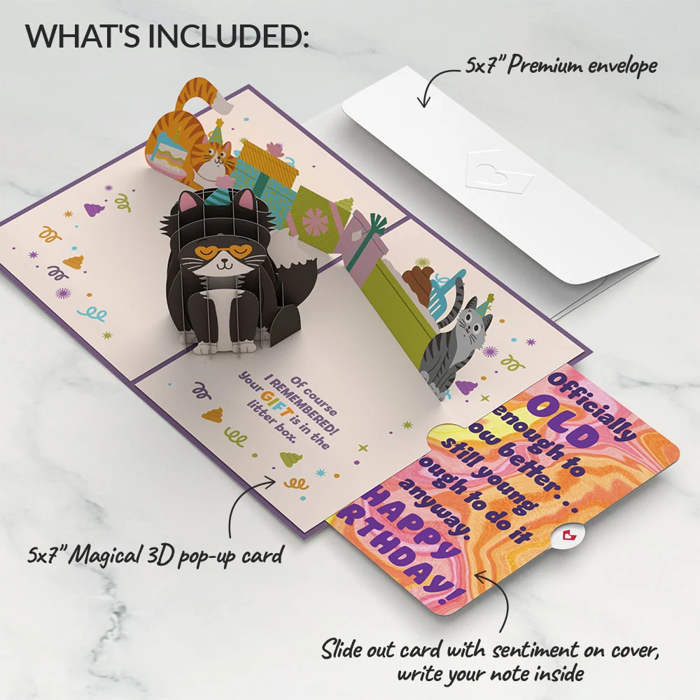 Lovepop Your Gift Is in the Litterbox Birthday Cat Pop-Up Card and Sentiment Set - Image 2