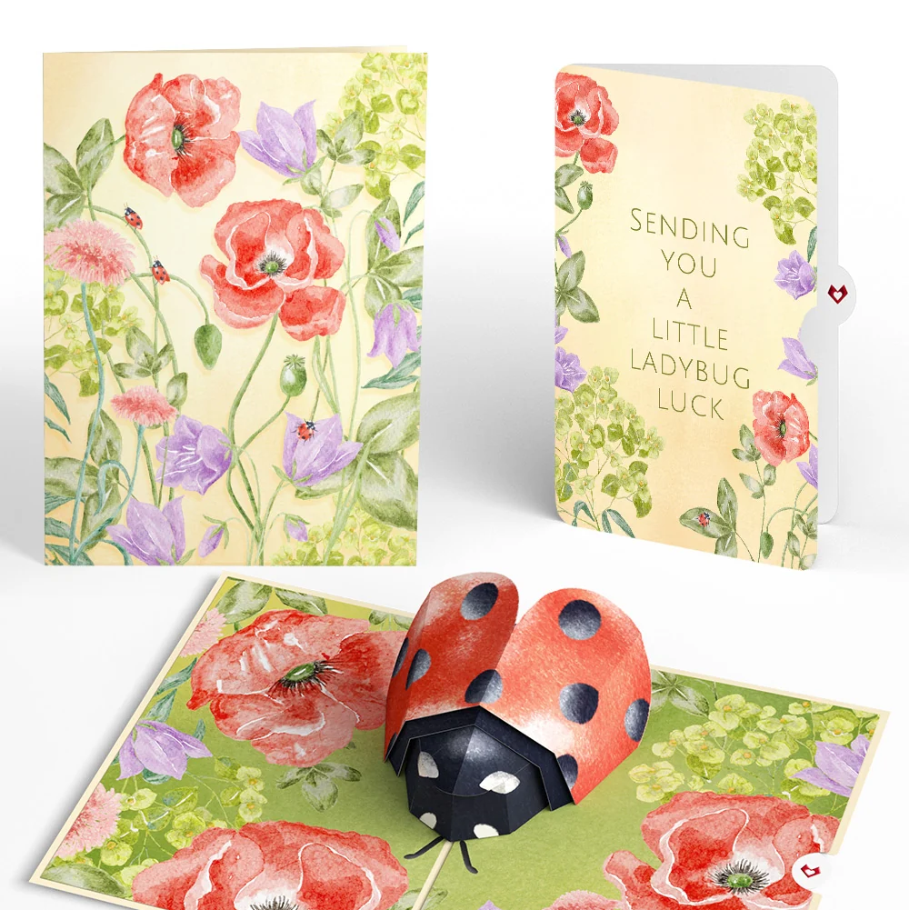 Lovepop Lovely Ladybug Love Pop-Up Card and Sentiment Set Cream