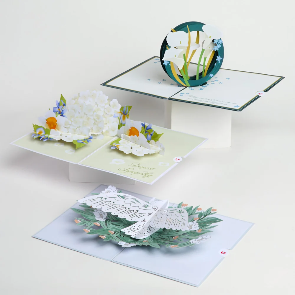 Lovepop Sympathy 3-Pack