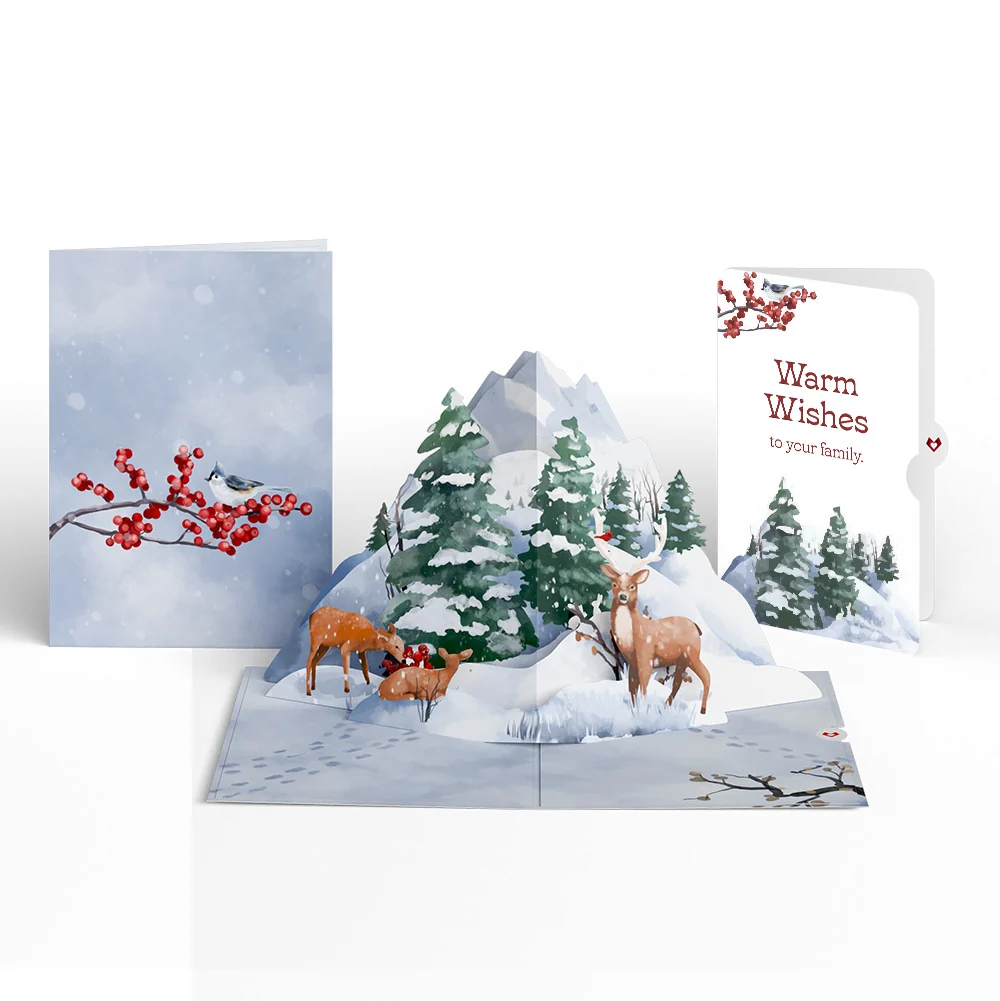 Lovepop Snowfall's Hush Winter Pop-Up Card and Warm Wishes Sentiment Set for Family