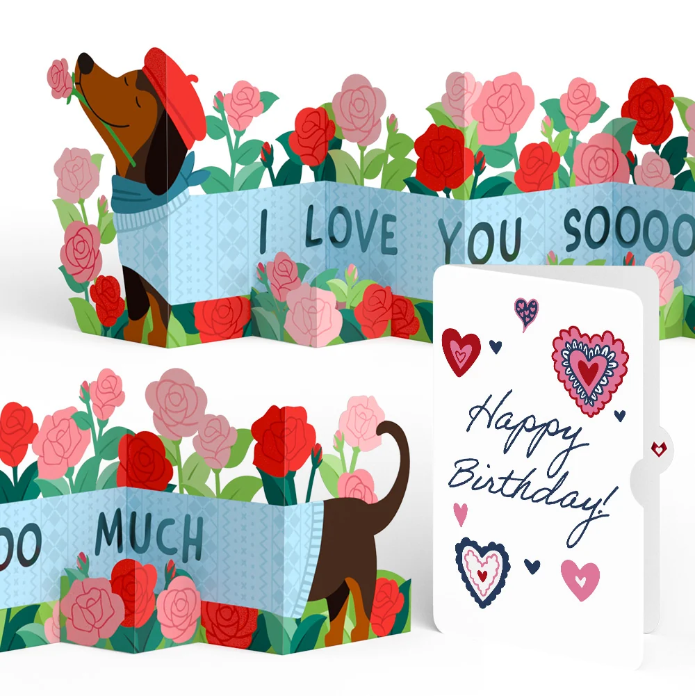 Lovepop Love You So Much Dog Birthday Loooooong Card (Expands to 2 feet) and Sentiment Set