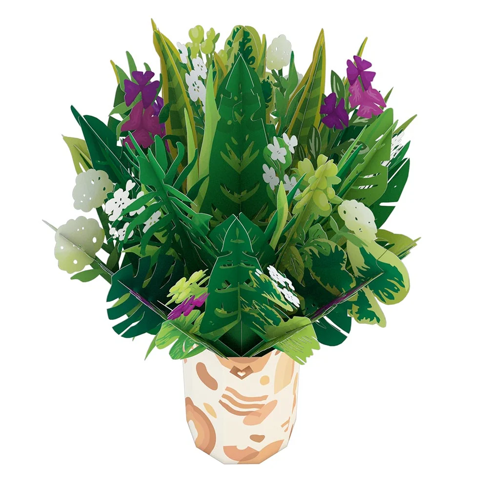Lovepop Greenhouse Plant Bundle Pot - Image 4