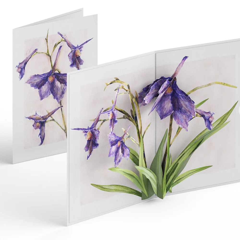 Lovepop Blue Bells Pop-Up Card – x ArtLifting