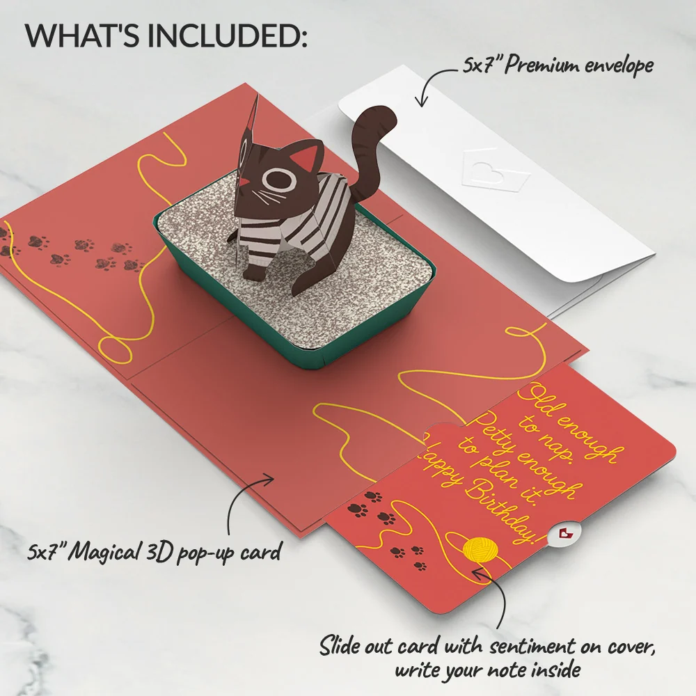 Lovepop Mischievous Cat Birthday Pop-Up Card and Old Enough to Nap Sentiment Set - Image 2