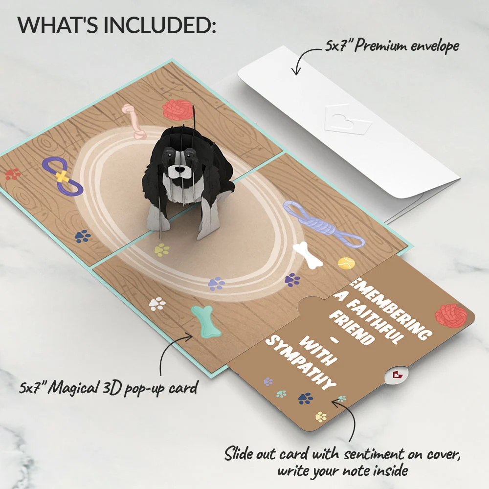 Lovepop Playful Dog Sympathy Pop-Up Card and Sentiment Set Toy - Image 2
