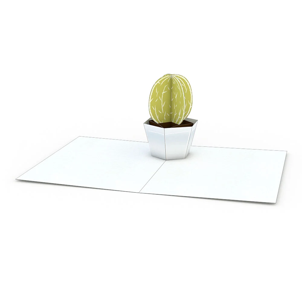 Lovepop Succulent Notecards (Assorted 4-Pack) - Image 5